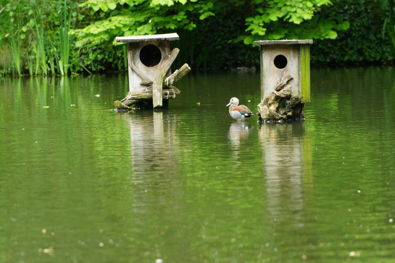 Gaestewohnung Hardinghaus Am Teich Warendorf Eksteriør bilde