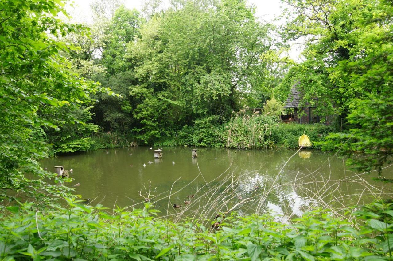 Gaestewohnung Hardinghaus Am Teich Warendorf Eksteriør bilde