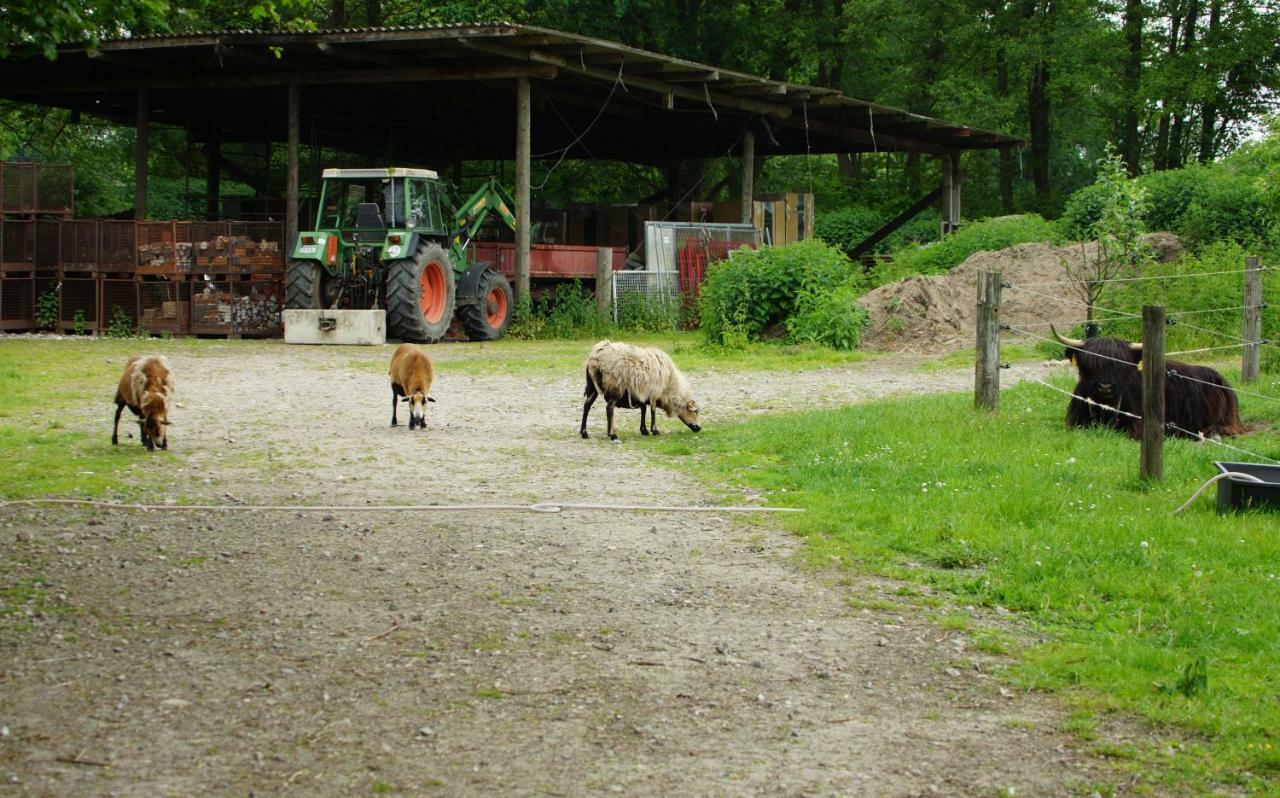 Gaestewohnung Hardinghaus Am Teich Warendorf Eksteriør bilde